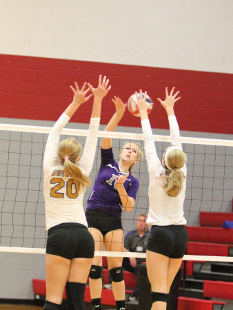 Volleyball ends successful year in bi-district loss